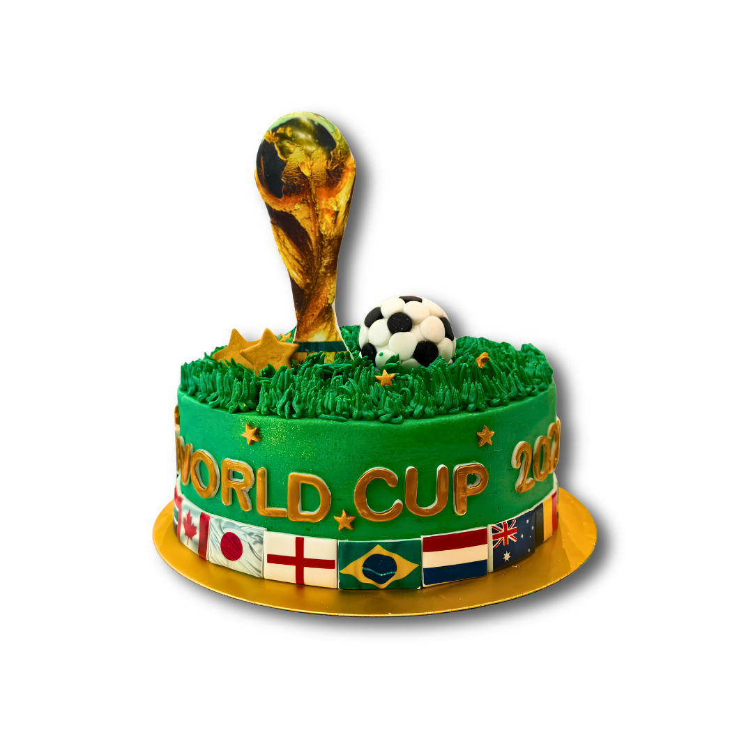 Fifa World Cup Cake